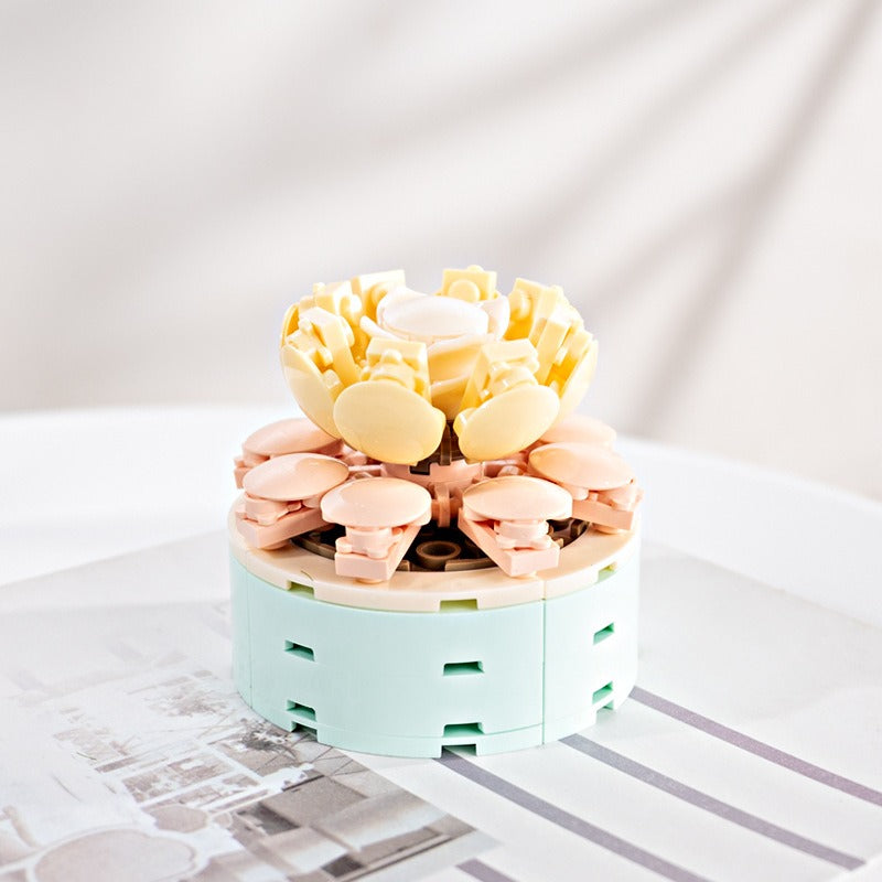 Succulent Blocks Assembled Plants Simulation